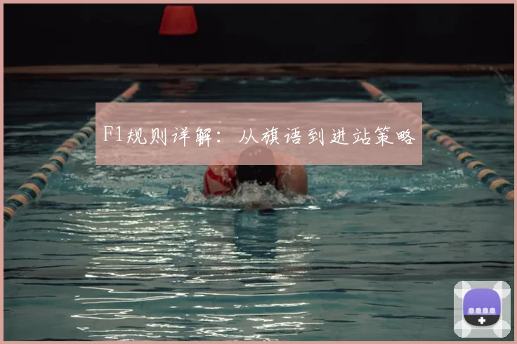 F1规则详解:从旗语到进站策略